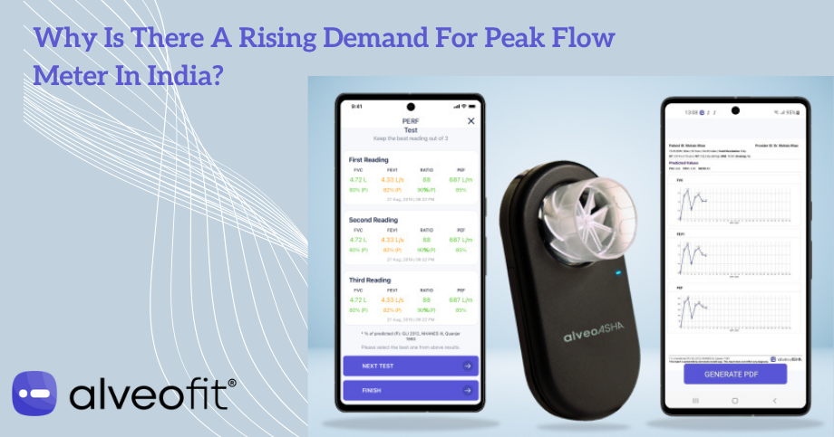 Why Is There A Rising Demand For Peak Flow Meter In India?